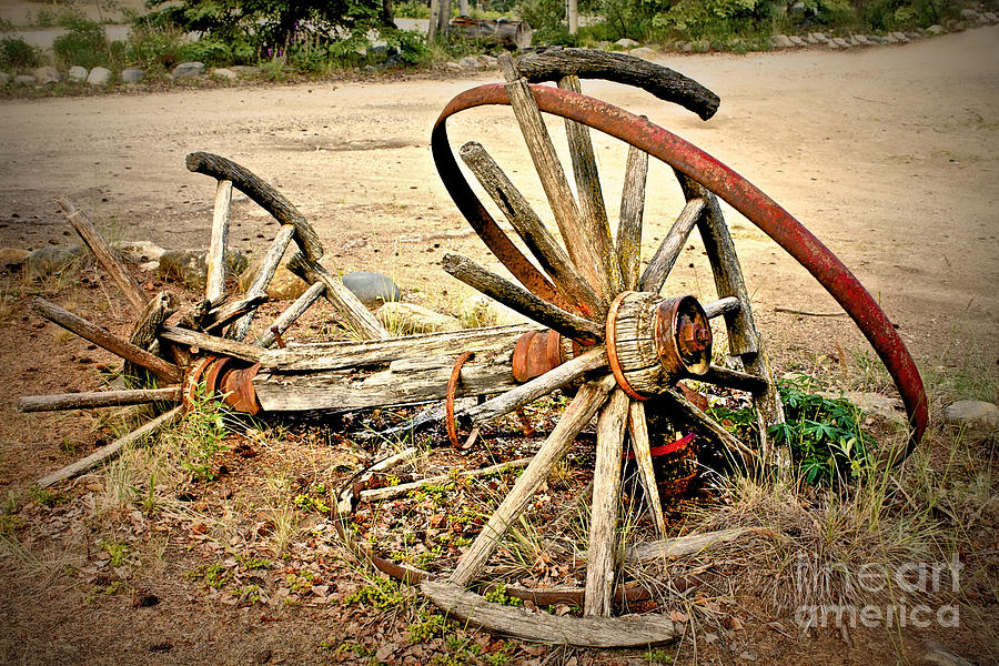 Wagon Wheels Photograph by Linda Bianic