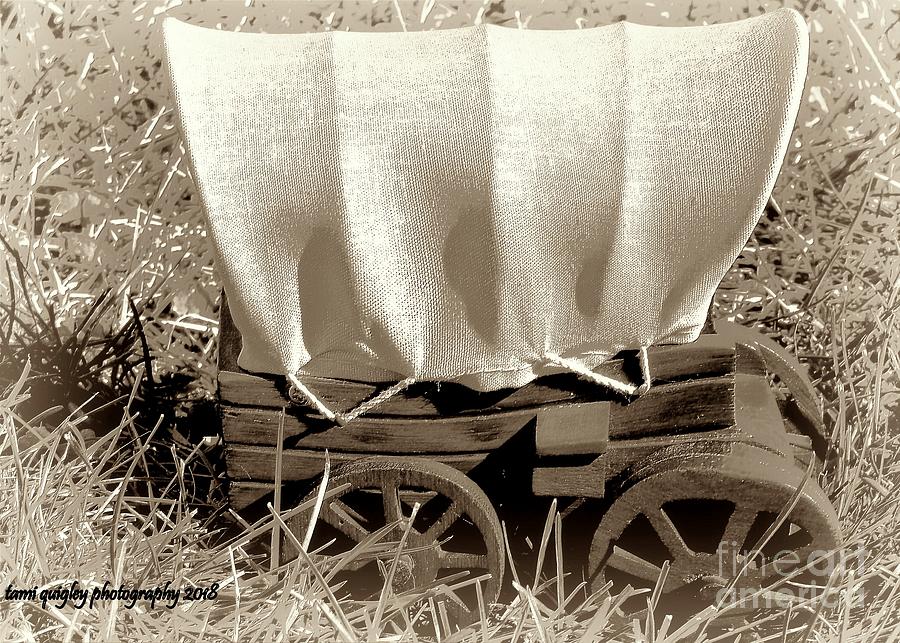 Wagons Ho Photograph by Tami Quigley