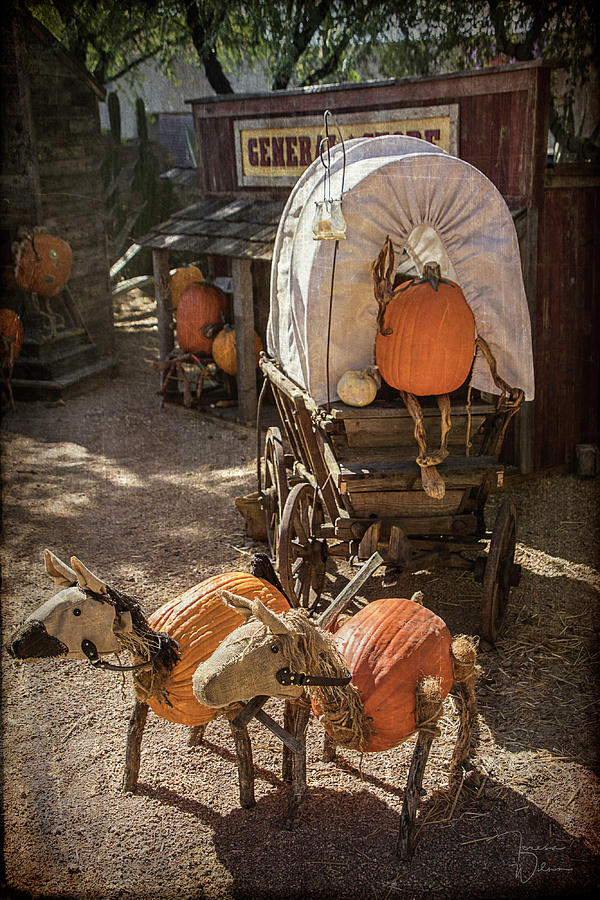 Wagons Ho Photograph by Teresa Wilson