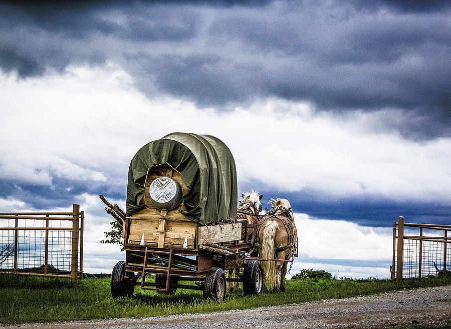 Horse Photograph - Wagons Rolling Out by Laine Smith-MemoryLaine