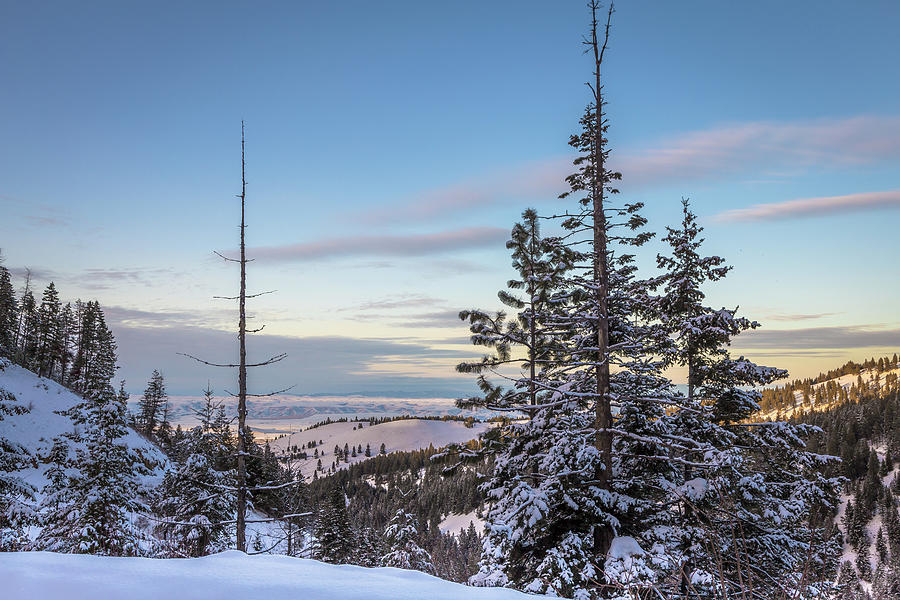 Waha Mountain Winter Photograph by Brad Stinson