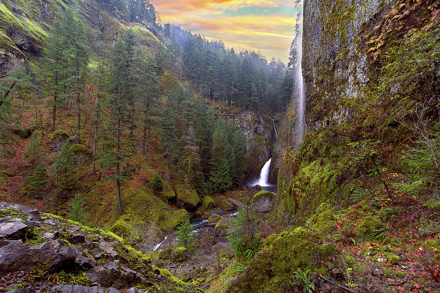 Wahclella Falls in Columbia River Gorge Photograph by David Gn