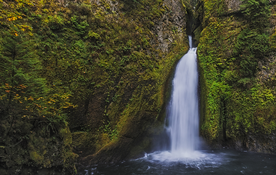 Wahclella Falls Photograph by Loree Johnson