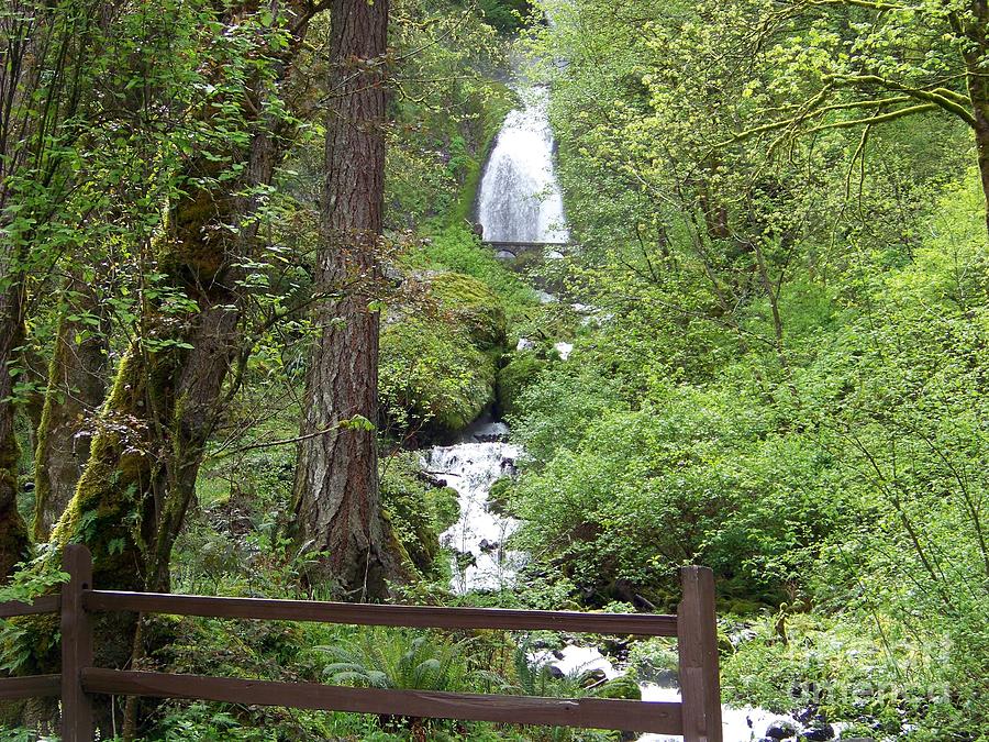 Wahkeena Falls behind Fence Photograph by Charles Robinson
