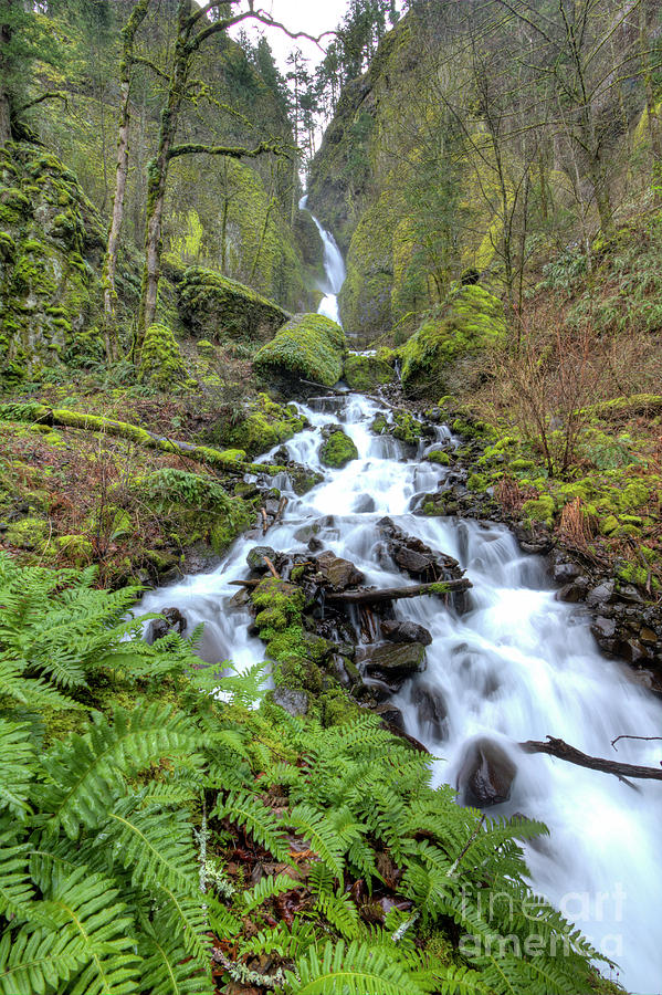Waterfall Photograph - Wahkeena Falls Oregon Waterfall by Dustin K Ryan