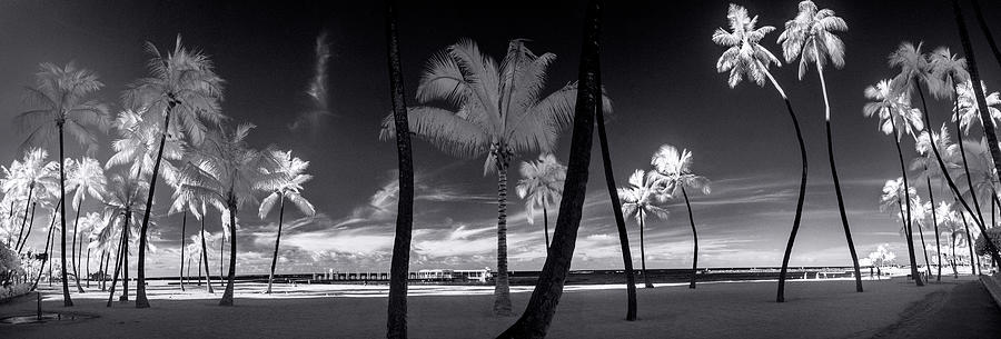 Waikiki Beach Contrasts Photograph by Sean Davey