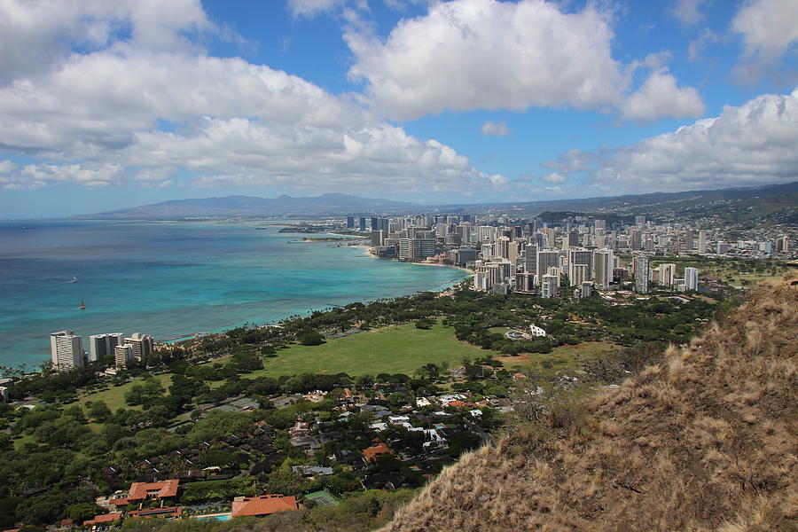 Waikiki From Diamond Head Photograph by Jenny Kalasho - Fine Art America