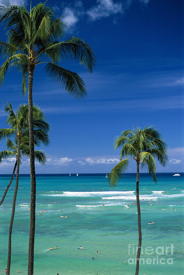 Waikiki Seascape Photograph by Carl Shaneff - Printscapes