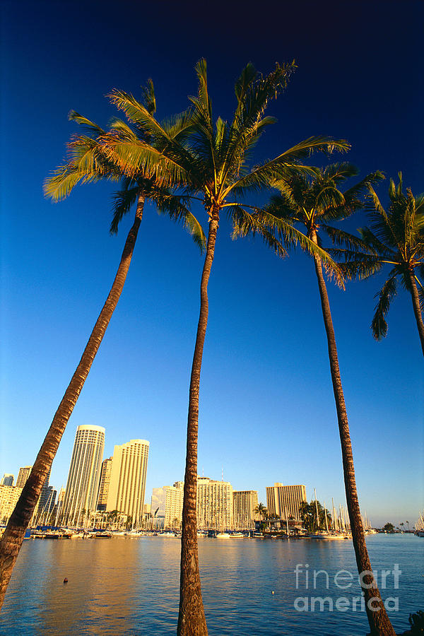 Waikiki Skyline Photograph by Carl Shaneff - Printscapes