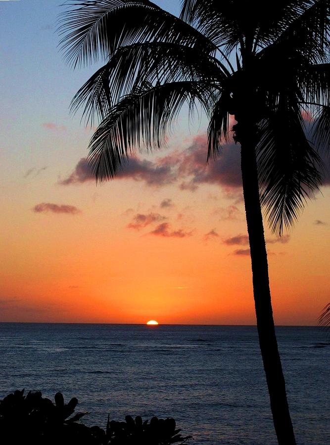 Sunset Photograph - Waikiki Sunset by Dan Pyle
