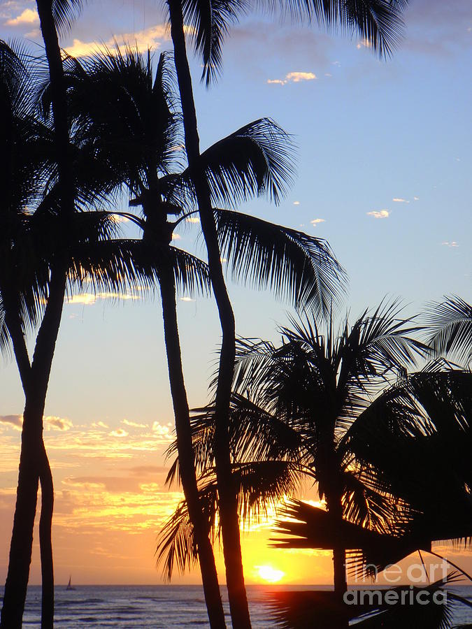 Waikiki Sunset Photograph by Mary Deal