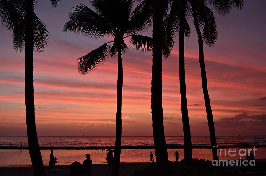 Waikiki Sunset Photograph by Ron Long
