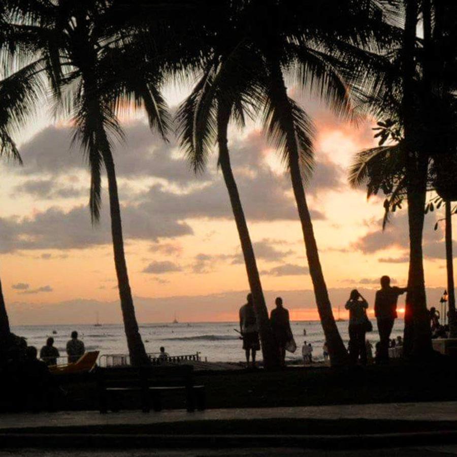 Waikiki Sunset Photograph by Sophia Perez