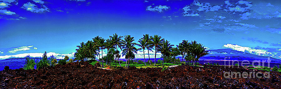 Waikoloa Beach Golf Course lava and palm trees  Photograph by Tom Jelen