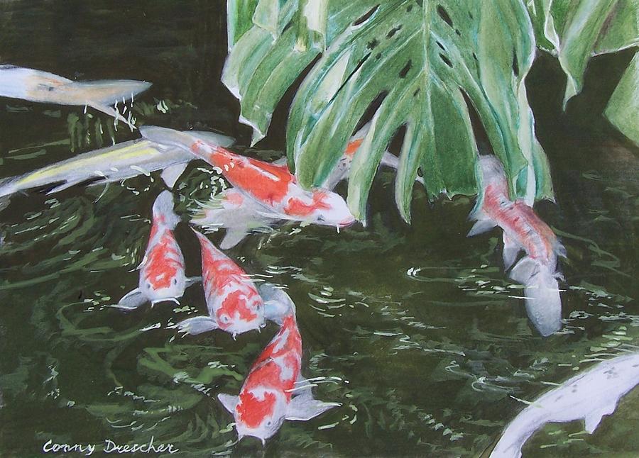Fish Mixed Media - Waikoloa Koi Pond by Constance Drescher