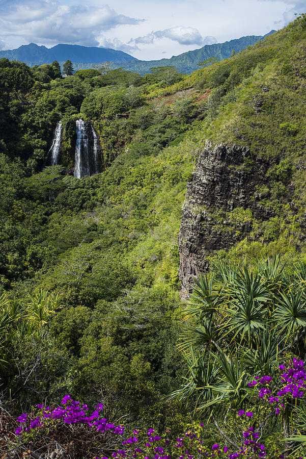 Wailua Falls and Tropical Plants Photograph by Robert Potts