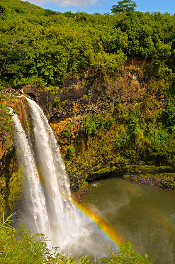 Tree Photograph - Wailua Falls by Kenneth Sponsler