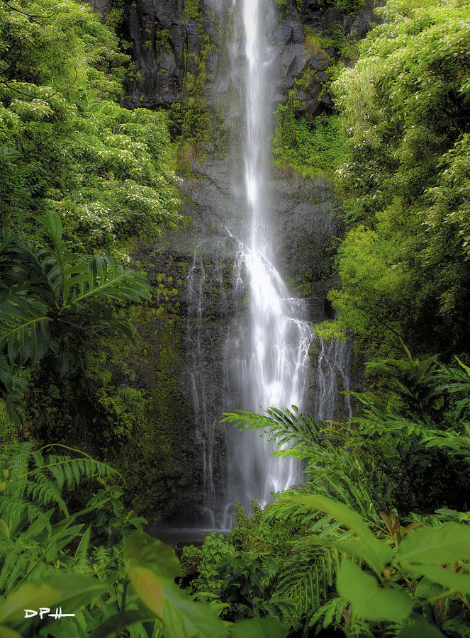 Wailua Falls Maui Photograph by Derek Pullan