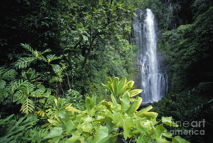 Wailua Falls Photograph by Ron Dahlquist - Printscapes