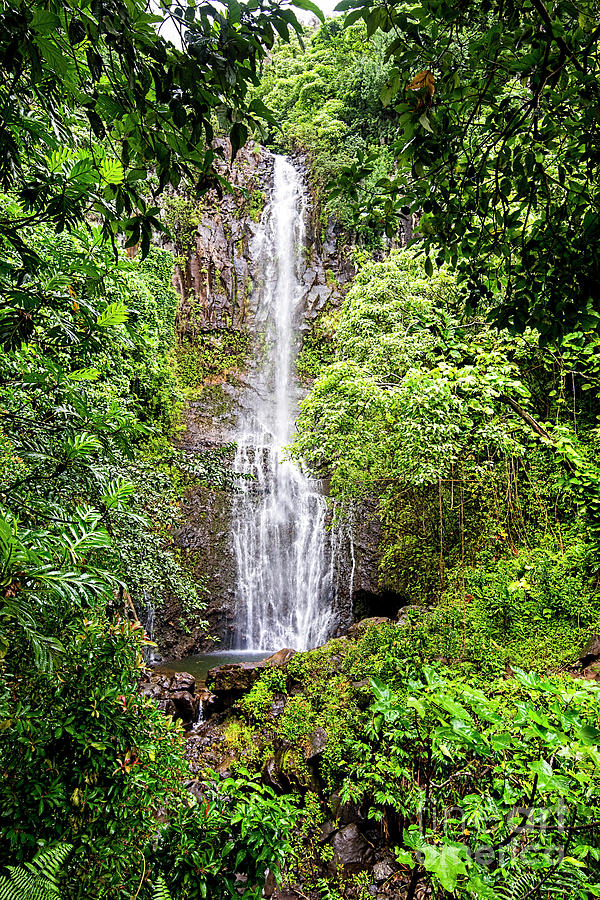 Wailua Falls1 Photograph by Baywest Imaging