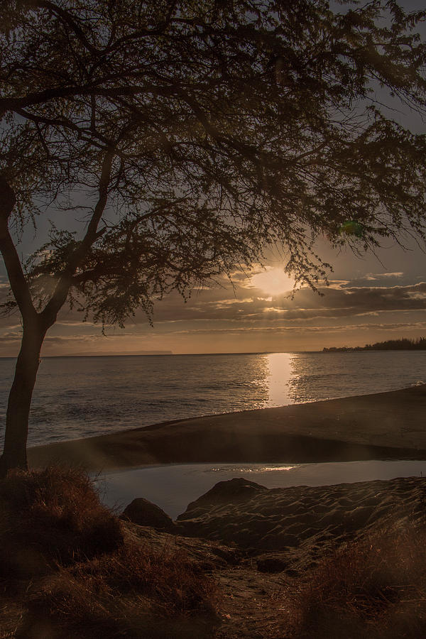 Waimea Bay Sunset 4 Photograph by Teresa Wilson