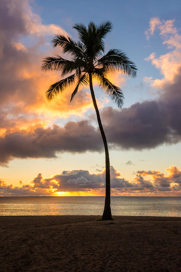 Waimea Beach Sunset 2 - Oahu Hawaii Photograph by Brian Harig