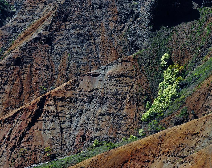 Waimea Canyon Detail Photograph by Heidi Fickinger