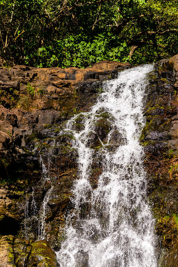 Up Movie Photograph - Waimea Falls by Michael Scott