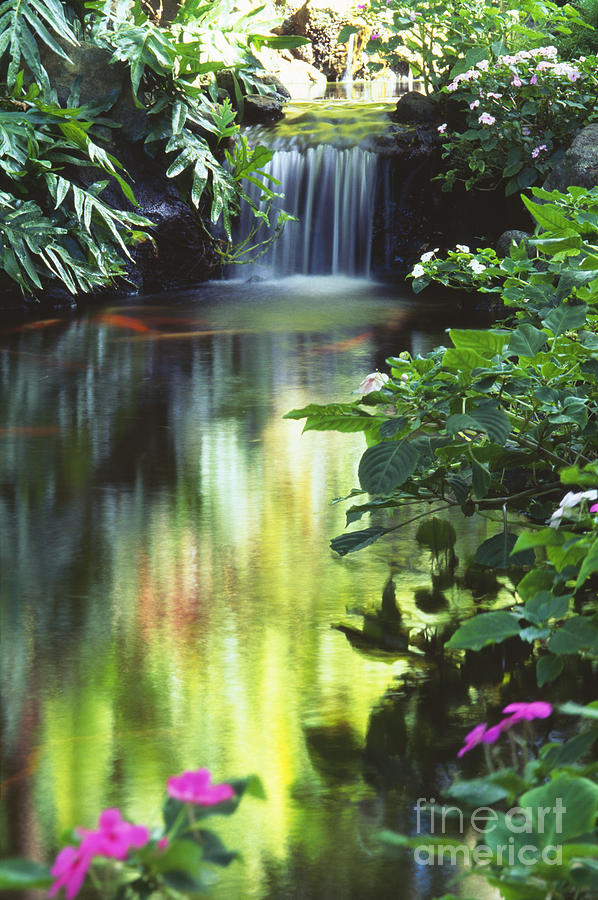 Waimea Falls Park Photograph by Bill Brennan - Printscapes