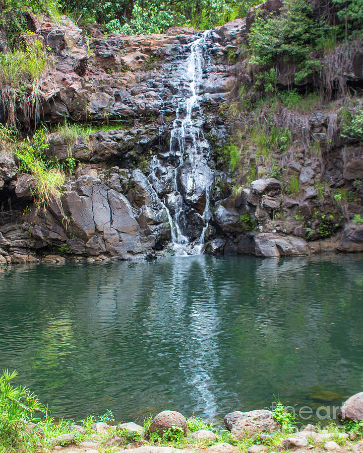 Waimea Waterfall Photograph by Cheryl Del Toro