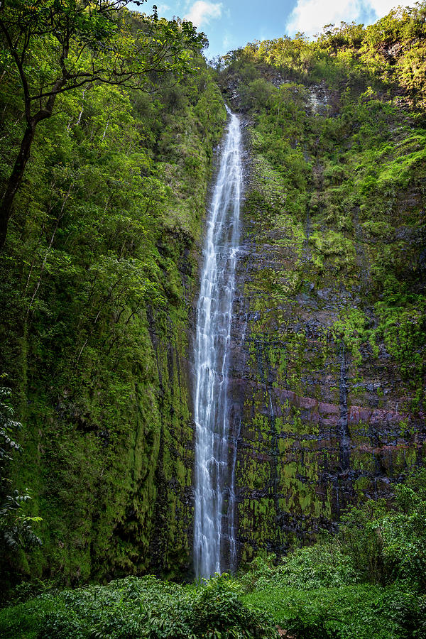 Waimoku Falls Photograph by Kelley King