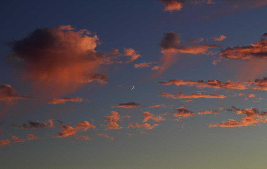 Waining Moon Pink Clouds Photograph by Suzanne Lorenz