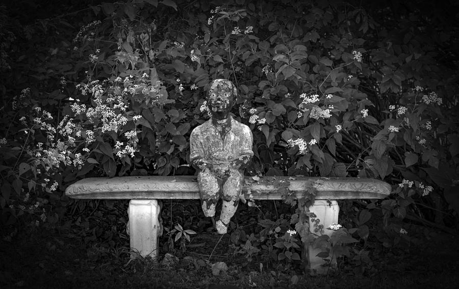Waiting By The Garden Photograph by Ray Congrove