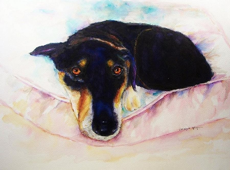 Portrait Painting - Dog Portrait - Watching Closely by Carolyn Gray