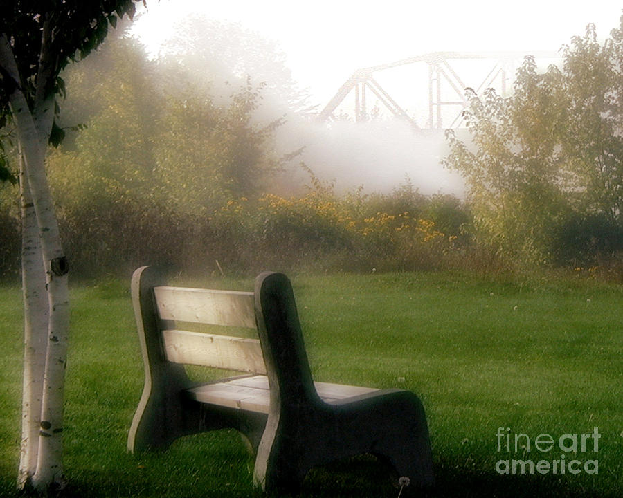 Waiting for Fog to Lift Photograph by Carol Randall