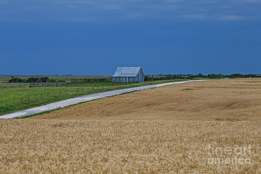 Barn Photograph - Waiting for Harvest by Jill Van Doren Rolo