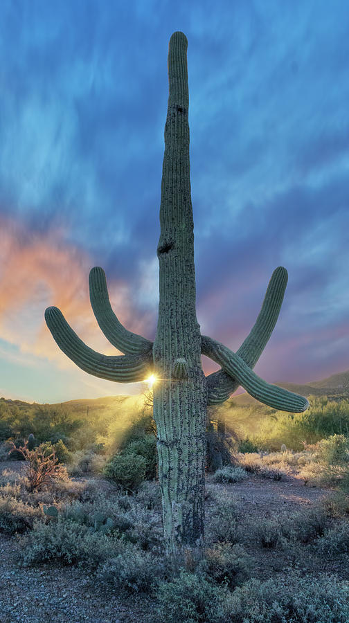 Waiting for Rain by Lynn Geoffroy Waiting for Rain by Lynn Geoffroy