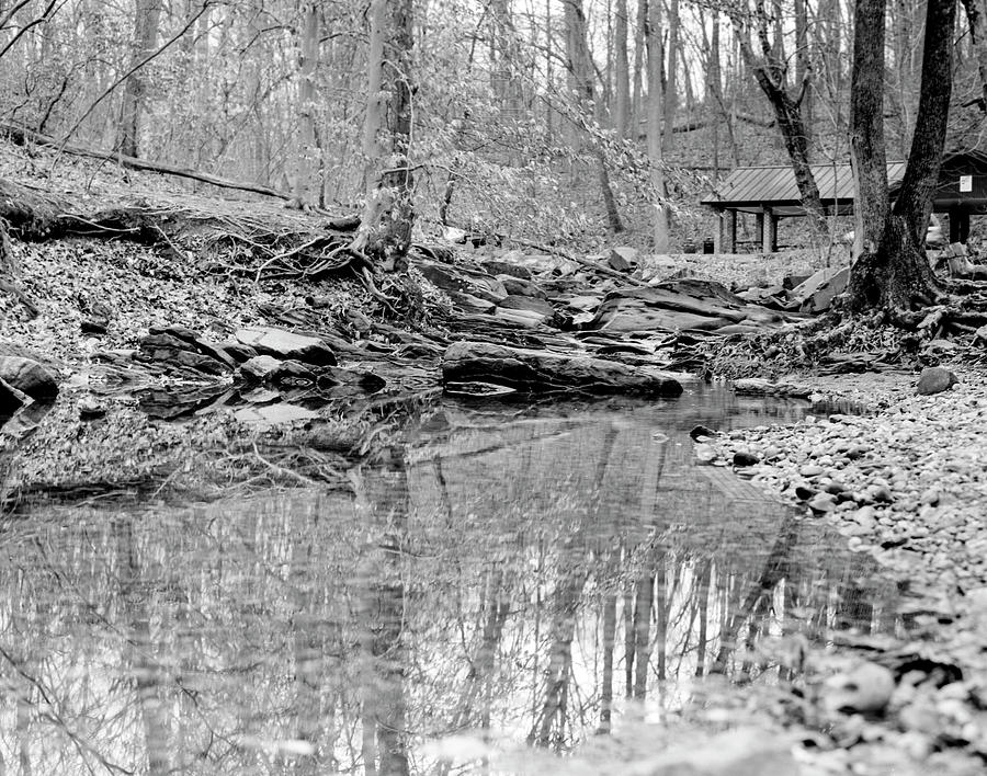 Waiting for Spring Photograph by Amanda Kleinman - Fine Art America