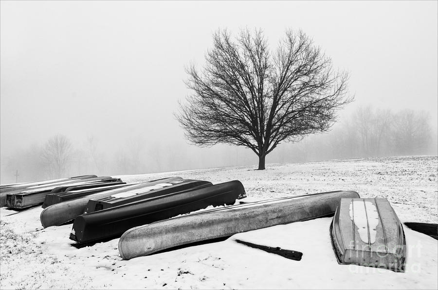 Waiting for Summer - D009873-bw Photograph by Daniel Dempster