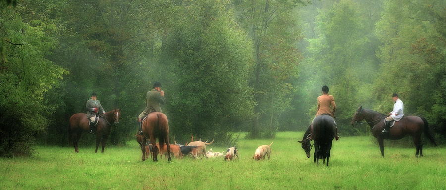 Horse Photograph - Waiting for the Hunt by Angela Rath