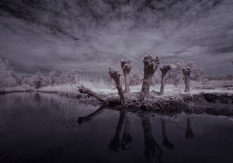 Waiting For The Witches Infrared Photograph by Gert Van Den Bosch