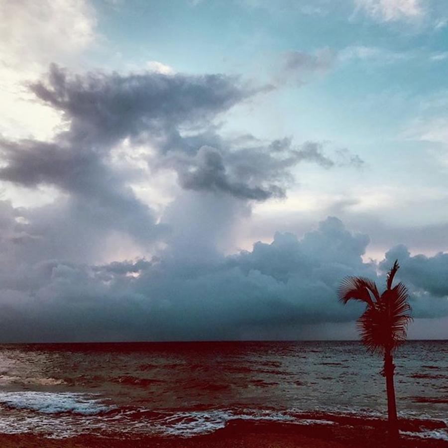 Tropical Storm Photograph - Before the Storm by Gina Callaghan