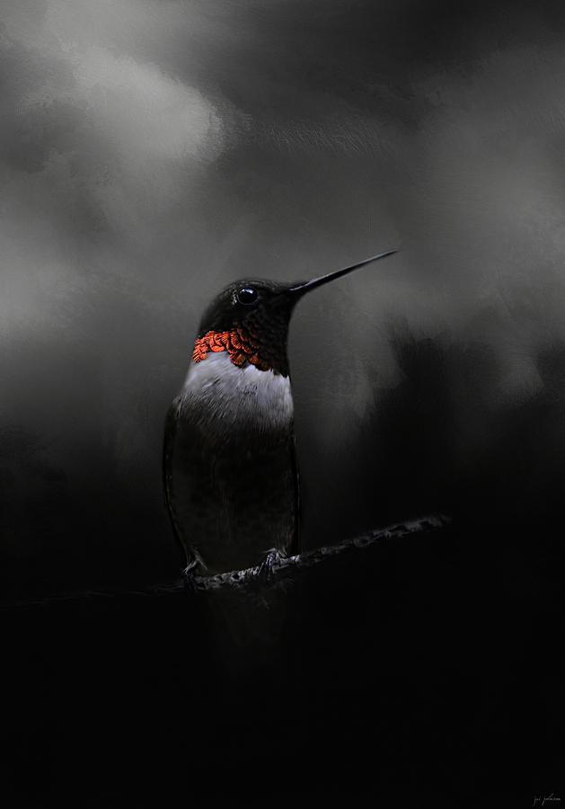 Bird Photograph - Waiting In The Darkness by Jai Johnson