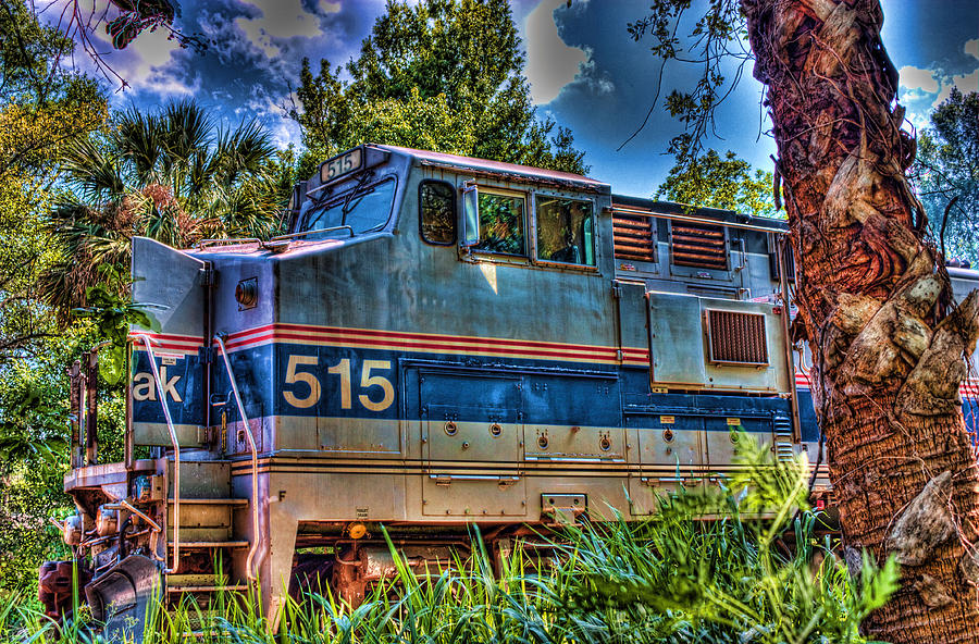 Train Photograph - Waiting In The Woods by Joetta West
