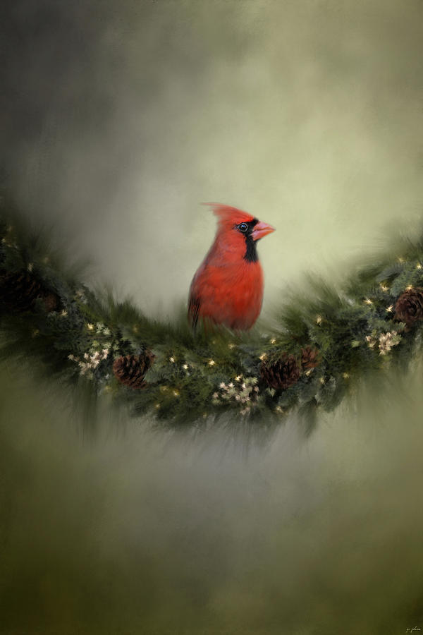 Bird Photograph - Waiting On Christmas by Jai Johnson
