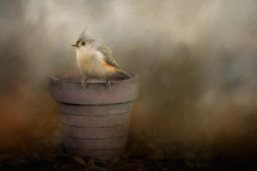 Waiting On Spring Songbird Art Painting by Jai Johnson