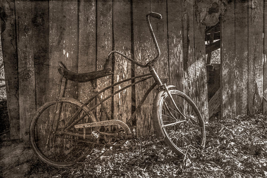 Waiting to Take a Ride Sepia Tones Photograph by Debra and Dave Vanderlaan
