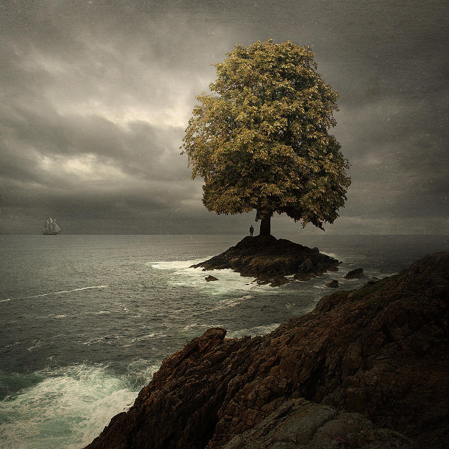 Tree Photograph - Waiting by Tomasz Zaczeniuk