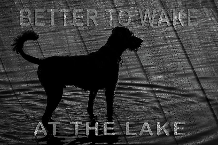 Wake at the Lake Sign Photograph by Jeff Phillippi