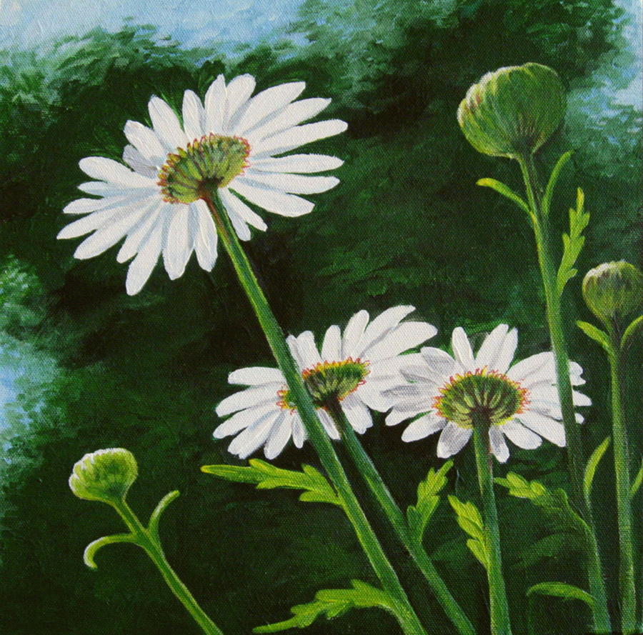 Waking Daisies Painting by Sharon Marcella Marston - Fine Art America